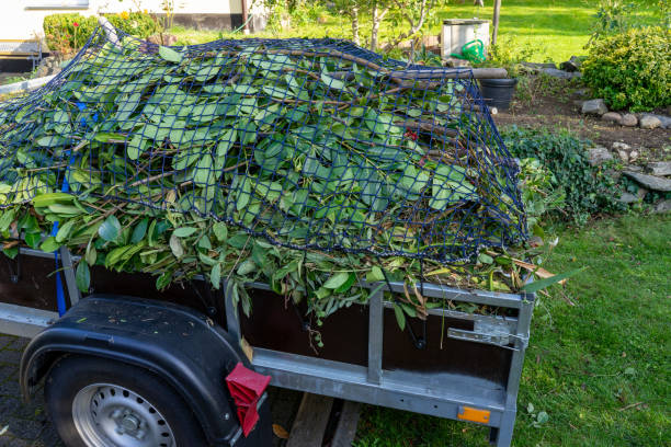 Best Shed Removal  in St Leo, FL